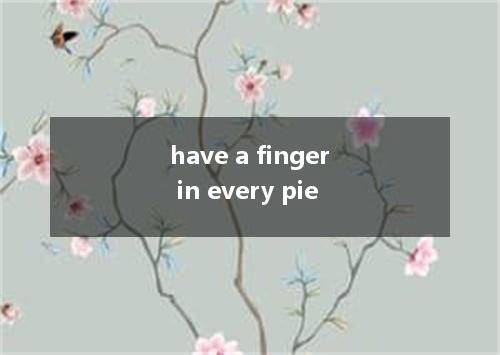 have a finger in every pie是什么意思