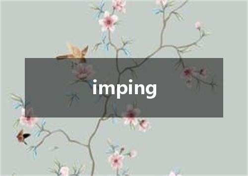 imping是什么意思