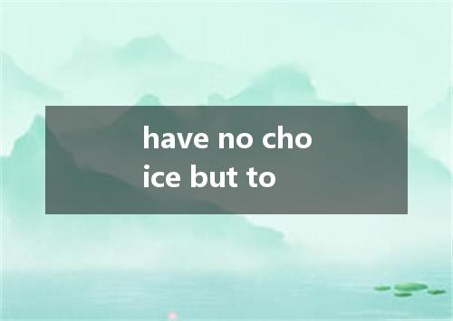 have no choice but to是什么意思