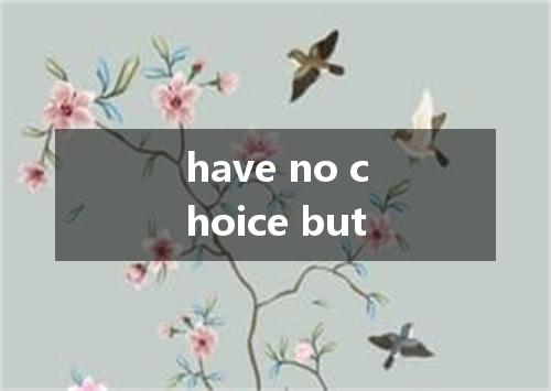 have no choice but是什么意思