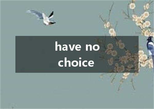 have no choice是什么意思