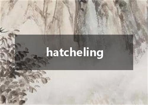 hatcheling是什么意思