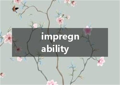 impregnability是什么意思
