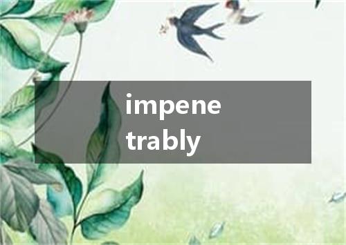 impenetrably是什么意思