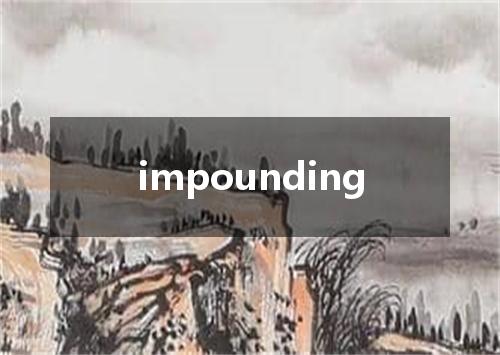 impounding是什么意思