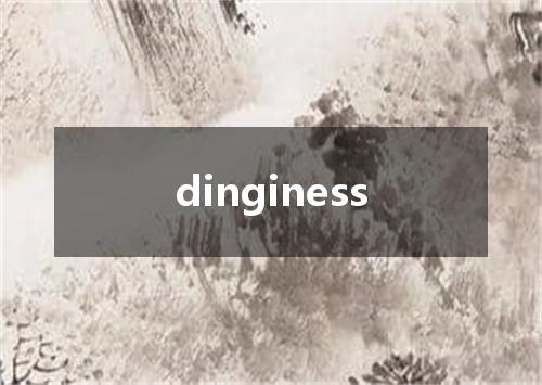 dinginess是什么意思