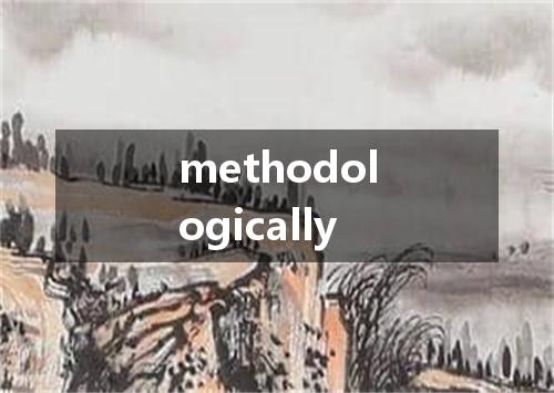 methodologically是什么意思