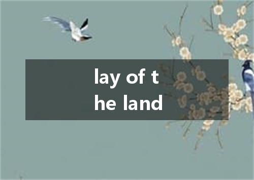 lay of the land是什么意思