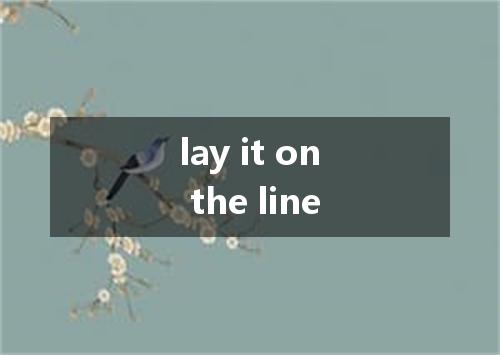 lay it on the line是什么意思