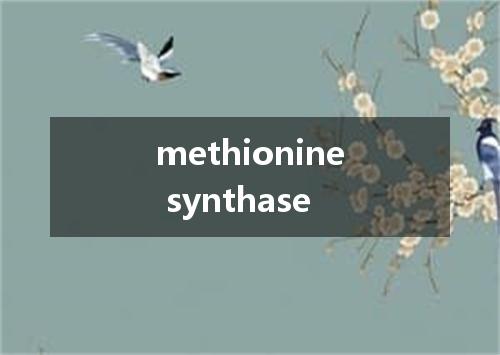 methionine synthase是什么意思
