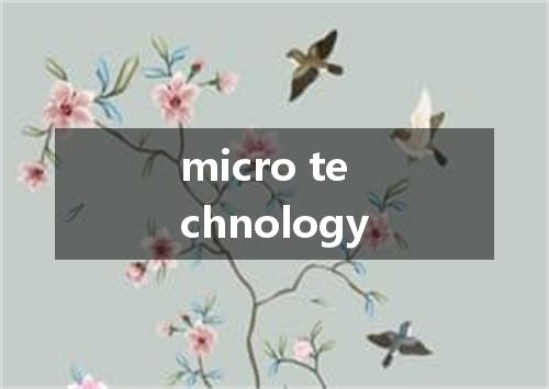 micro technology是什么意思
