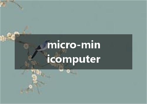 micro-minicomputer是什么意思
