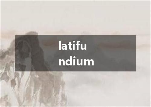 latifundium是什么意思