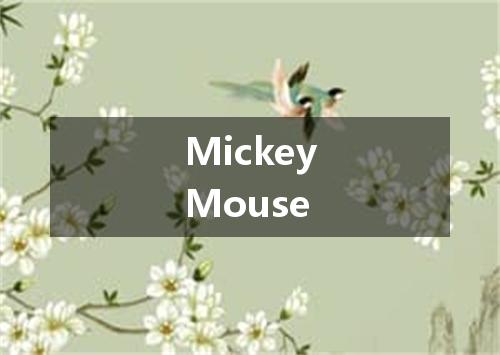 MickeyMouse是什么意思