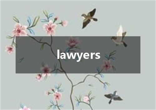 lawyers是什么意思