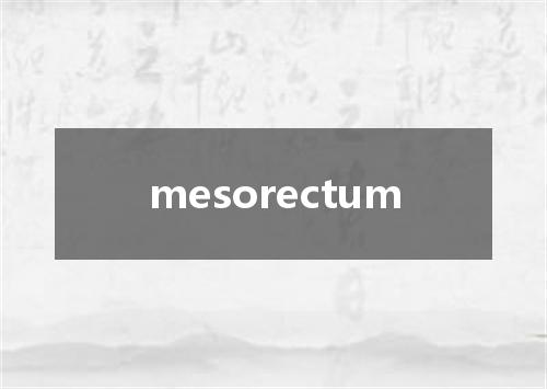 mesorectum是什么意思