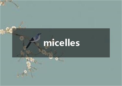 micelles是什么意思