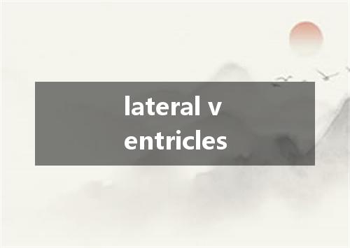 lateral ventricles是什么意思