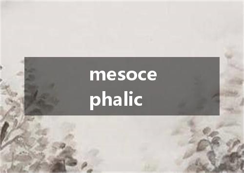 mesocephalic是什么意思