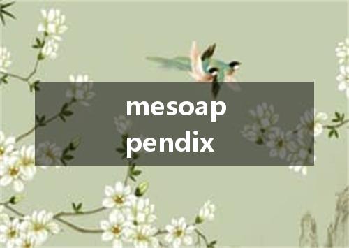 mesoappendix是什么意思