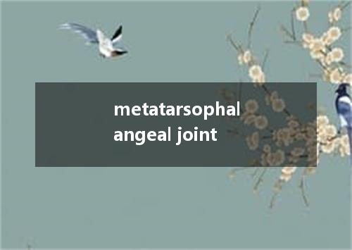 metatarsophalangeal joint是什么意思