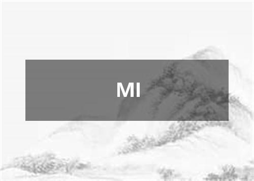 MI是什么意思