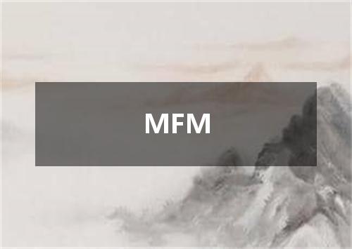 MFM是什么意思