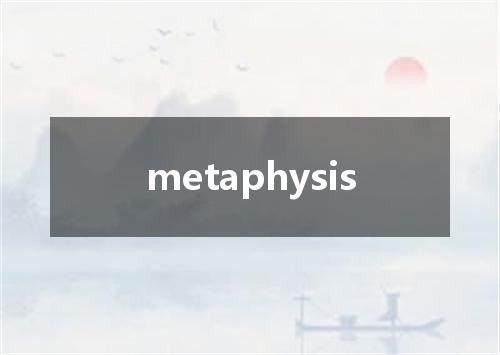 metaphysis是什么意思