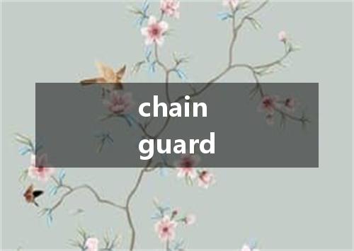 chain guard是什么意思