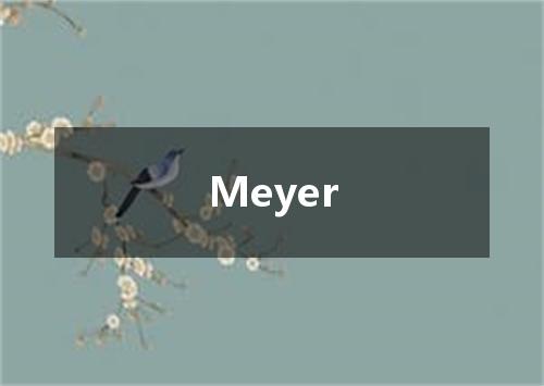 Meyer是什么意思