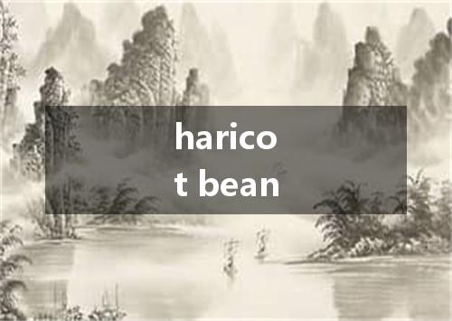 haricot bean是什么意思