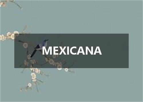 MEXICANA是什么意思