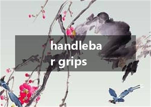 handlebar grips是什么意思