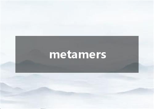 metamers是什么意思
