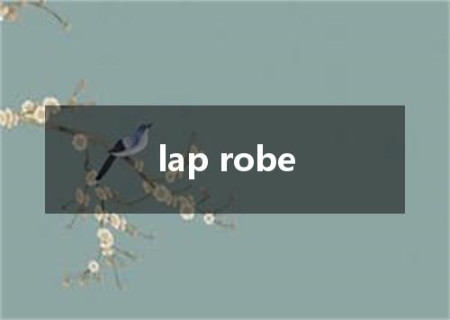 lap robe是什么意思