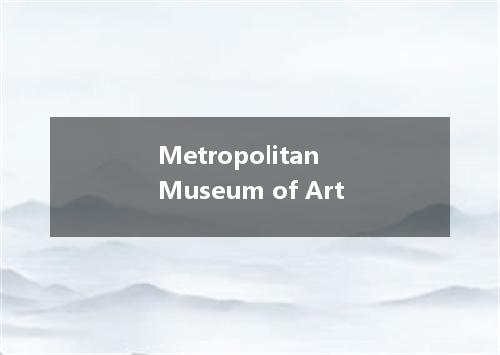 Metropolitan Museum of Art是什么意思