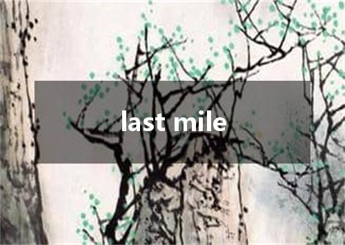 last mile是什么意思