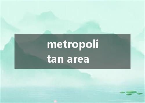 metropolitan area是什么意思