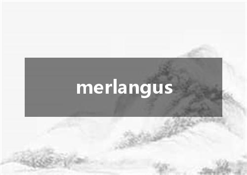 merlangus是什么意思