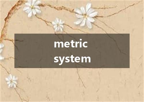 metric system是什么意思