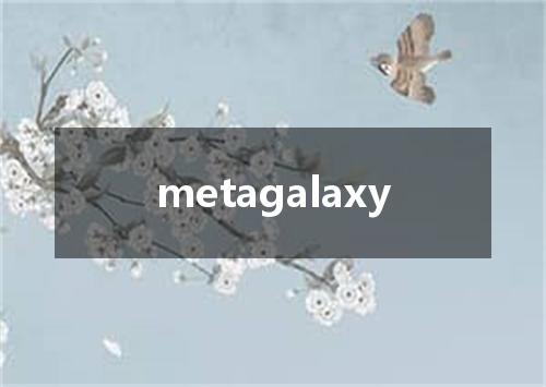 metagalaxy是什么意思