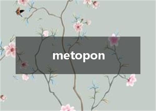 metopon是什么意思