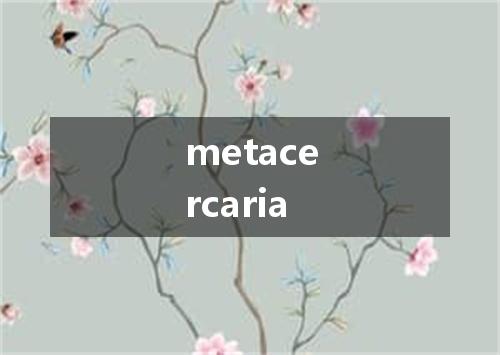 metacercaria是什么意思