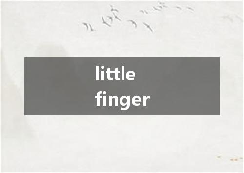 little finger是什么意思