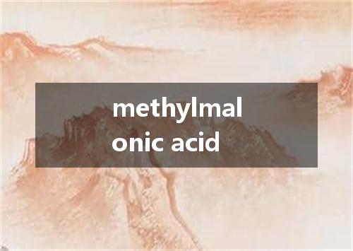 methylmalonic acid是什么意思