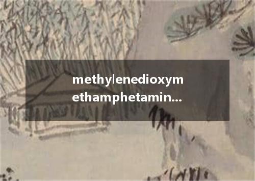 methylenedioxymethamphetamine是什么意思