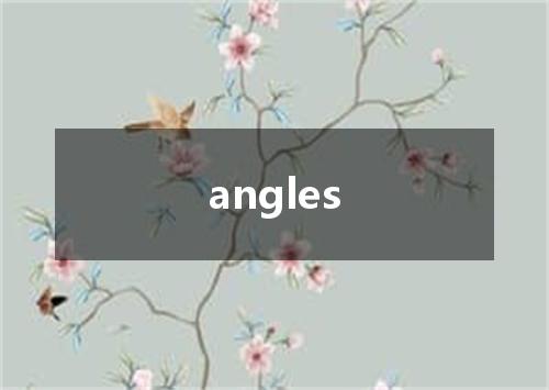 angles是什么意思