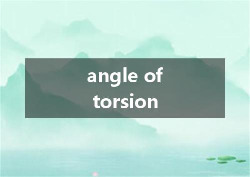 angle of torsion是什么意思