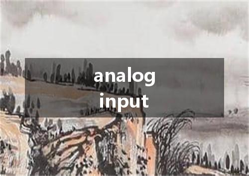 analog input是什么意思