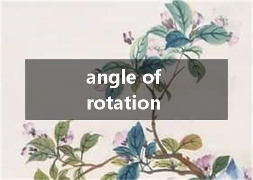 angle of rotation是什么意思